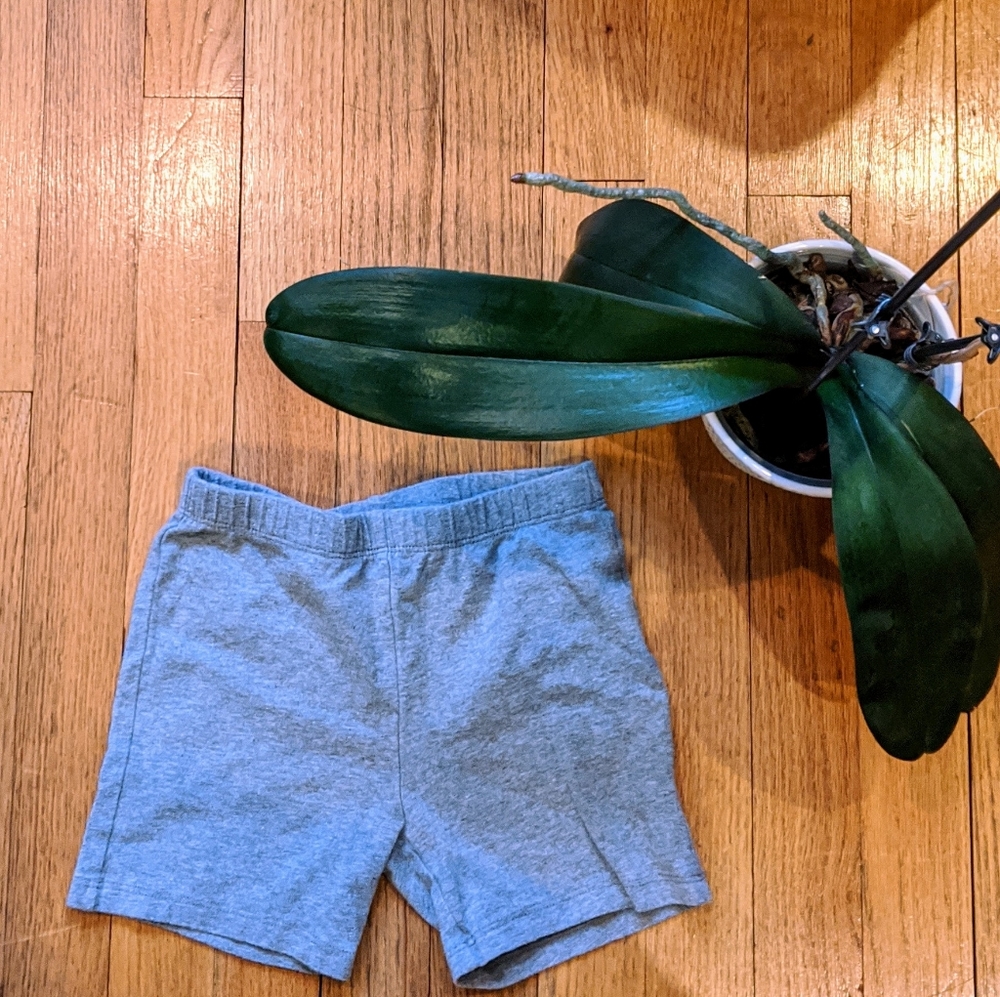 Girls' Boy Shorts
